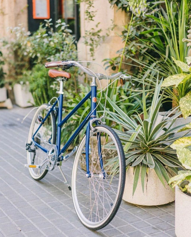 Bisou - Vincent Blue