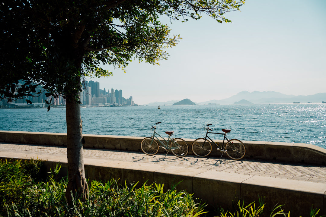 海濱旁的 tokyobike