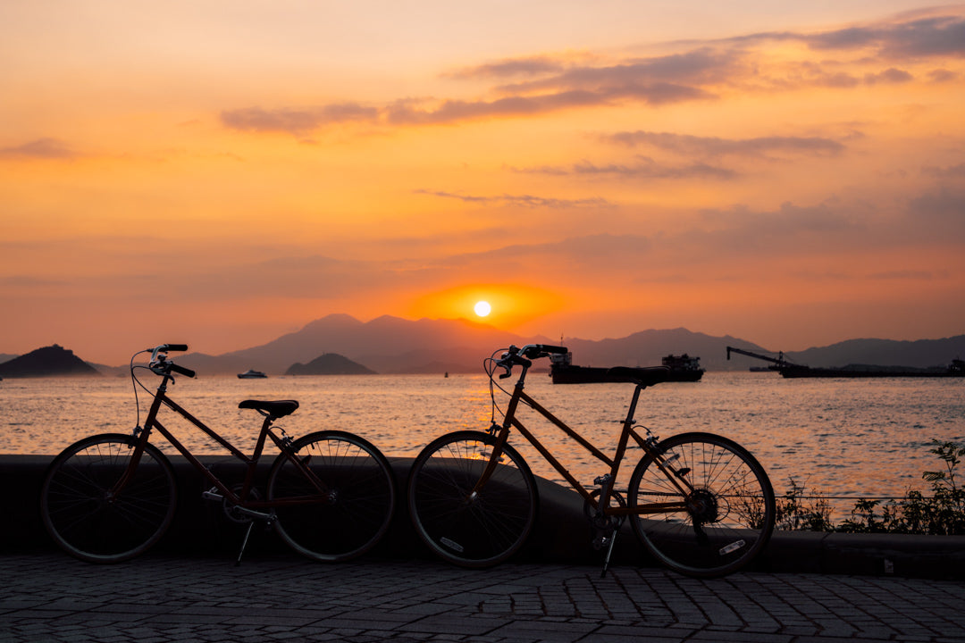 黃昏時分於西九海濱騎乘 tokyobike